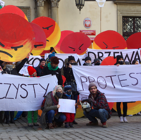 Polish Protest